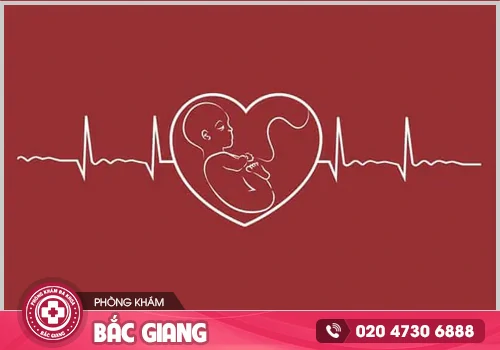 Bỏ thai khi chưa có tim được không?
