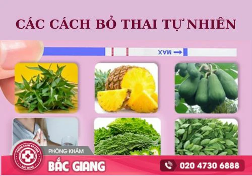 cách bỏ thai tự nhiên