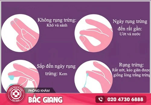 Các dấu hiệu mang thai tự nhiên bạn có thể nhận biết