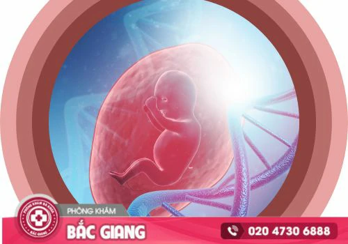 đia chỉ bỏ thai