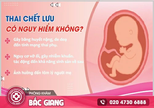 Điều trị thai lưu kịp thời, sẽ có thể bảo vệ sức khoẻ sinh sản về sau