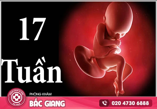 Mang thai 17 tuần có phá được không?