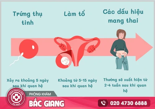 Quan hệ sau bao lâu có thai? Cách tránh thai ngoài ý muốn