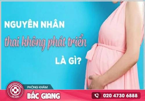 Nguyên nhân thai không phát triển - Cách xử lý kịp thời, tránh biến chứng